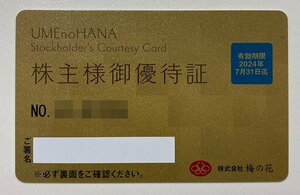 ☆梅の花 株主優待証カード 1枚 7月31日まで 送料込☆