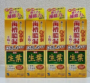 ☆小林製薬 生葉(しょうよう) ひきしめ実感タイプ 100g 新品未開封 4本セット 送料込☆