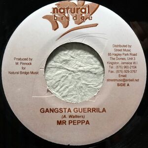 【Mr. Peppa Gangsta Guerilla】 [♪ZG] [♪ZQ] (R6/3)