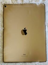iPad Pro 2世代　ゴールド　256GB MPA62J/A キャリアKDDI_画像4