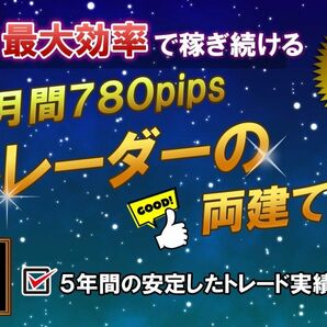 FX 億トレーダーの両建て手法 月間利益780pips サインツールと分析ツールを組みわせて両建てするFXのトレード手法 スキャル