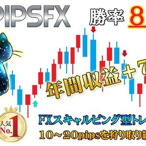 10pipsを狩り続ける!【10pipsFX】 FX トレード手法 年間利益780万円 スキャルピング デイ