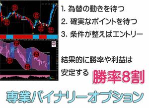 【プロトレーダー監修】 専業 バイナリーオプション 勝率8割 サインツール 必勝法 シグナルツール システム MT4 ハイロー