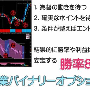 【プロトレーダー監修】 専業 バイナリーオプション 勝率8割 サインツール 必勝法 シグナルツール システム MT4 ハイロー