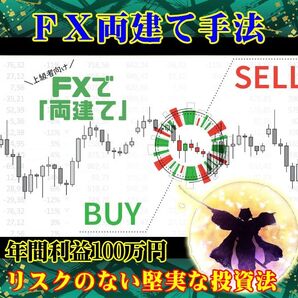 FX 両建て トレード手法 年間利益100万円も可能 リスクの少ない投資法 デイトレード スキャルピング トレード 必勝法 ツール