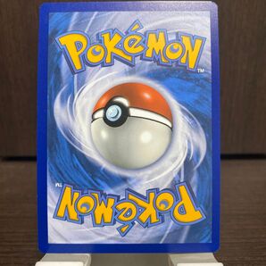 ポケモンGO イタリア購入品 イルカマン 備品 ポケモンカード