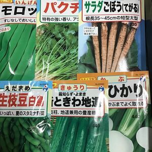 野菜の種 未開封新品6袋 春撒き用