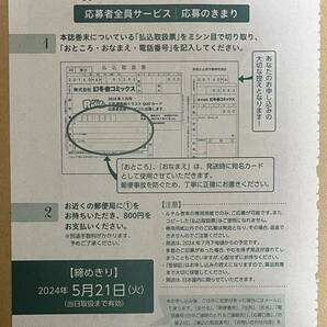 ★応募用紙★ルチル 2024年5月号 表紙イラストQUOカード応募者全員サービス／僕らの食卓～おかわり～／三田 織の画像2