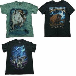 古着卸 まとめ売り アニマル 動物 半袖Tシャツ 3枚セット (メンズ M ) カラー系 大判プリント TS13 MR6710 1円スタート