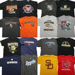 古着卸 まとめ売り プロチーム 半袖Tシャツ 16枚セット (メンズ L ) NFL ミネソタバイキングス MBL NHL MR9173 1円スタート