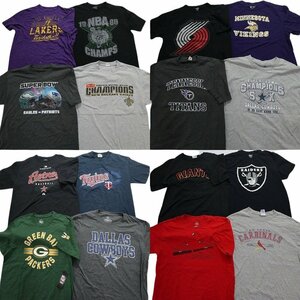 古着卸 まとめ売り プロチーム 半袖Tシャツ 16枚セット (メンズ L ) NFL MLB カウボーイズ パッカーズ アストロズ MS1231