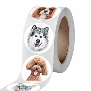 送料無料 犬と猫のロールシール♪ １巻 500枚 トイプー 柴犬 キャバリア アメショー の画像4
