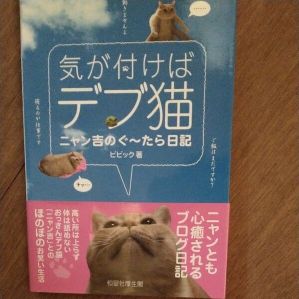 気が付けばデブ猫　ニャン吉のぐ～たら日記 ビビック／著