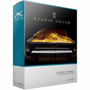  стандартный товар фортепьяно источник звука Addictive Keys Studio Grand VST/AU/AAX плагин DTM TikTok DTMer K-Pop.. рука bo Caro P