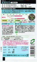 ◆松葉牡丹◆　【八重咲混合】　タキイ種苗_画像2