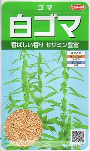 ●ゴマ●　【白ごま】　サカタのタネ　