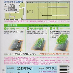 ★注意★発芽有効期限切★ ●オクラ● 【エメラルド】の画像2