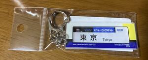 銚子駅限定販売　房総 255系 方向幕キーホルダー 「ビューさざなみ　東京ゆき」