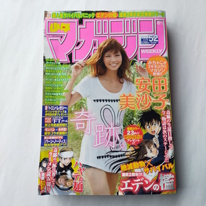 週刊少年マガジン 2010年 52号 安田美沙子 巻頭グラビア5P 巻頭カラー エデンの檻