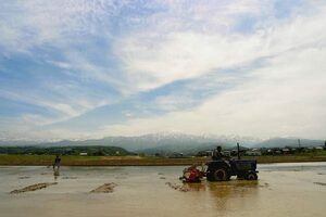 　　令和5年産　富山県黒部産コシヒカリ有機玄米24Ｋ　