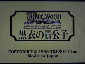 即決有★MSX★T&E SOFT Rune Worth ルーンワース 黒衣の貴公子 箱・取扱説明書付 動作確認済