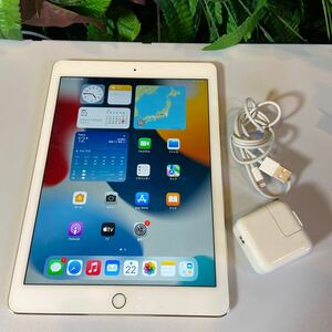 [ прекрасный товар ]Apple iPad Air no. 2 поколение /32GB/SIM свободный /Wi-Fi+Cellular/ Gold 06