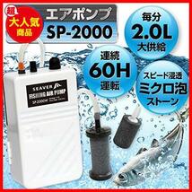 ★ブラック ビッグタイプ★ 【長時間ミクロ泡供給】エアーポンプ 釣り 乾電池式 高耐久ストーン ブラック ノーマルタイプ スペア付き_画像2