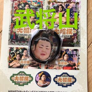 大相撲ガチャ お相撲さんフェイスヘアゴム 武将山 おまけ