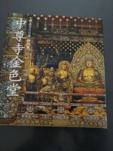 中尊寺金色堂　東京国立博物館特別展　 図録　　新品同様　定価2800円_画像1