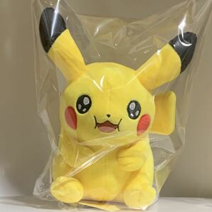 マイピカチュウ MY PIKACHU ぬいぐるみ ポケモン ポケモンセンターオリジナル F1223 757877 キラキラ目 もぐもぐ まんぷく オスの画像1