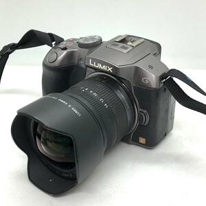 【C4495】Panasonic LUMIX DMC-G6 ミラーレス一眼カメラ パナソニック ルミックス + LUMIX G VARIO 7-14mm F4