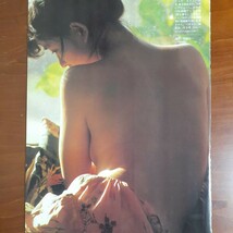 池上季実子・紺野美沙子・沢口靖子 グラビア切り抜き 全６ページ_画像4