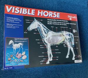 bijibru hose horse plastic model unopened shrink attaching VISIBLE HORSE Skilcraft.. model 