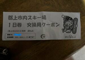 【送料無料】郡上市内スキー場 1日券 交換用クーポン （高鷲スノーパーク・ダイナランドの共通券など）