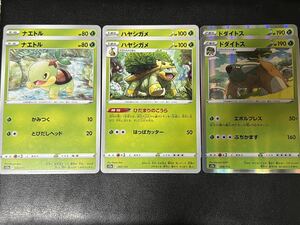 ◯【超美品6枚セット】ポケモンカードゲーム 006/172 007/172 008/172 s12a ナエトル,ハヤシガメ,R ドダイトス レア VSTARユニバースポケカ