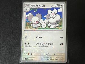 残2枚◯【超美品】ポケモンカードゲーム 153/190 sv4a イッカネズミ ミラー ポケットモンスター シャイニートレジャーex ポケカ POKEMON