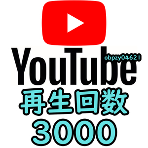 【収益化可能】Youtube 再生回数 3000回 減少生涯保証 収益化可能 操作不要 URLのみでOK / ユーチューブ 再生数 視聴回数 