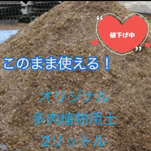 3/31まで値下げ中●お得な2リットルこのまま使える生産者 多肉植物・サボテンの土植え替え時期サボテン・多肉はこの土だけでOK