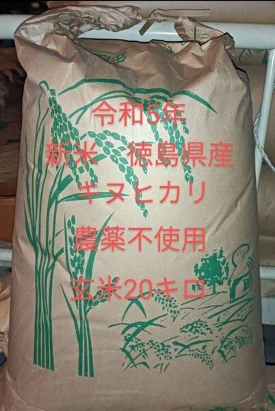 キヌヒカリ　農薬不使用　玄米20キロ
