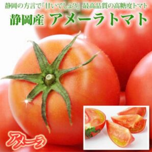 3ケース　アメーラトマト　自信あります！　高糖度　フルーツトマト　品質鮮度抜群！