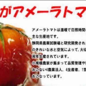 4ケース　アメーラトマト　自信あります！　高糖度　フルーツトマト　品質鮮度抜群！