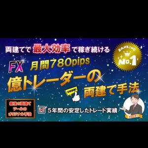 FX 億トレーダーの両建て手法 月間利益780pips サインツールと分析ツールを組みわせて両建てするFXのトレード手法 スキャル