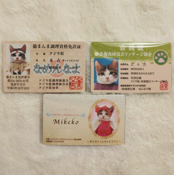 【No.N-013】なめ猫 なめんなよカードコレクション2 3枚セット