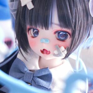 DDH-27 SW肌 カスタムヘッド(ソフビ盛り)＋おまけウィッグ MDD 難あり モモハトの画像1