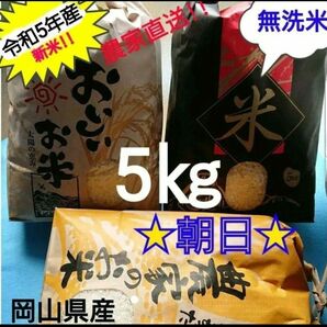 【令和5年産 (無洗米/5㎏)】農家直送!!減農薬栽培！岡山県産 『朝日米』