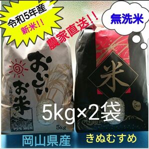 岡山県産きぬむすめ10kg 【5kg×2袋】