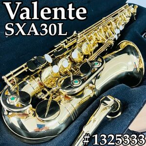  alto saxophone valente baren te Valente accessory completion immediately possible to use 