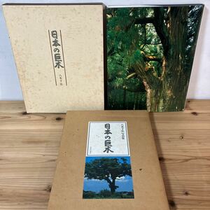 二ヲH0326[日本の巨木 八木下弘写真集] 大型本 中央公論社 昭和54年