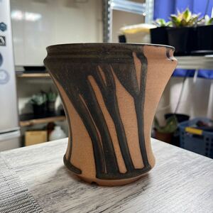 『humanity pot 』陶器鉢　美品　検パキプス アガベ グラキリス 植木鉢 塊根植物 