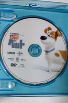 ペット DVD+Blu-ray 2枚組 _画像3